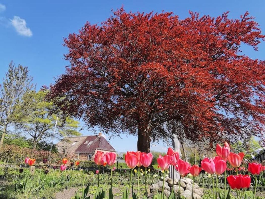 B&B Klassiek Twijzelerheide Eksteriør billede